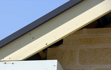 Achrimsdale fascia repairs