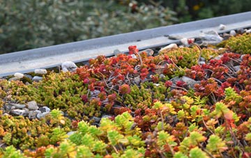 the cost of Achrimsdale green roof installation