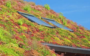 Achrimsdale living roof systems