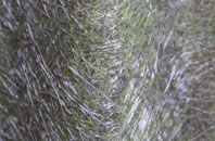 Achrimsdale fibreglass roof work